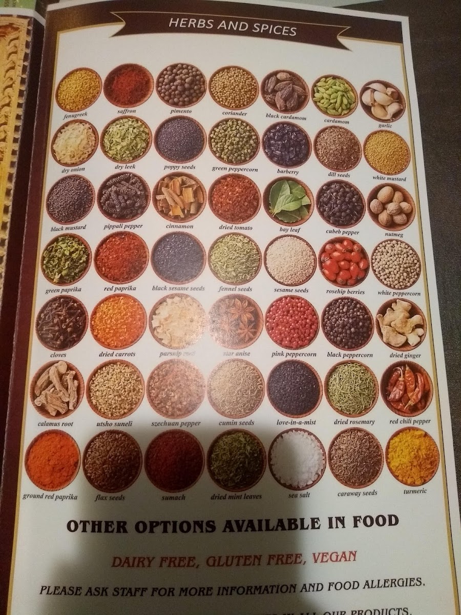 Menu Bollywood Indian Restaurant Gisborne-7